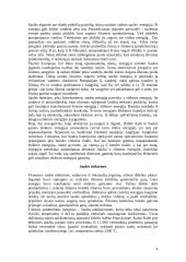 Alternatyvių energijos šaltinių paieška. Ekonominių ir energetinių problemų sprendimas 4 puslapis