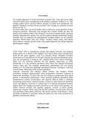 Alternatyvių energijos šaltinių paieška. Ekonominių ir energetinių problemų sprendimas 5 puslapis