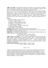 Anglis ir jos oksidai 3 puslapis