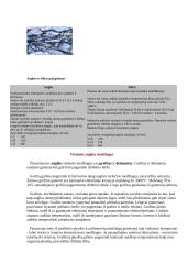 Anglis ir jos oksidai 4 puslapis