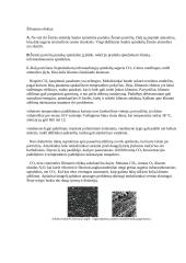 Anglis ir jos oksidai 8 puslapis