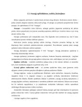 Apskaita prekybinėse ir gamybinėse įmonėse 4 puslapis