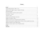 Apskaitos istorija. Istorinė raida 2 puslapis