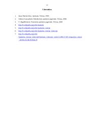 Apskaitos istorija. Istorinė raida 17 puslapis