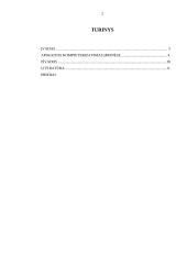 Apskaitos kompiuterizavimas įmonėse 2 puslapis