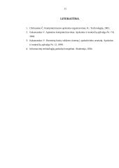 Apskaitos kompiuterizavimas įmonėse 11 puslapis