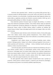 Apskaitos kompiuterizavimas įmonėse 3 puslapis