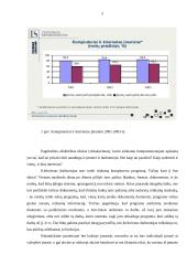 Apskaitos kompiuterizavimas įmonėse 5 puslapis