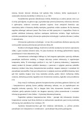 Apskaitos kompiuterizavimas įmonėse 7 puslapis