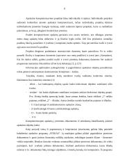 Apskaitos kompiuterizavimas įmonėse 8 puslapis