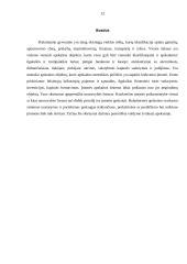 Apskaitos objektai ir verslo organizavimo formos 12 puslapis