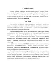 Apskaitos objektai ir verslo organizavimo formos 4 puslapis