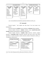 Apskaitos objektai ir verslo organizavimo formos 5 puslapis