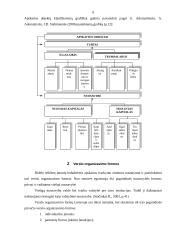 Apskaitos objektai ir verslo organizavimo formos 6 puslapis