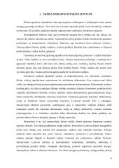 Apskaitos raida 4 puslapis