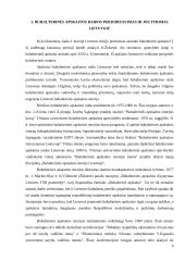 Apskaitos raida 9 puslapis