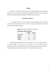 Apvaisinimas 2 puslapis