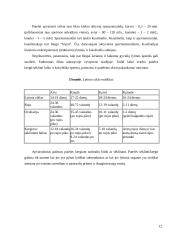 Apvaisinimas 11 puslapis