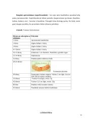 Apvaisinimas 14 puslapis