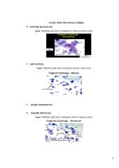 Apvaisinimas 3 puslapis