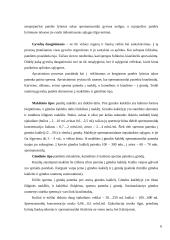 Apvaisinimas 5 puslapis