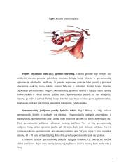 Apvaisinimas 6 puslapis