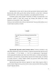 Apvaisinimas 8 puslapis