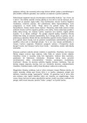 Antano Škėmos “Baltos drobulės” analizė 2 puslapis