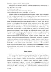 Skaičių kodai, aritmetiniai ir loginiai kompiuterių veikimo pagrindai 8 puslapis