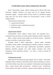 D. Vaitkevičiūtės romano "Moterys meluoja geriau" analizė 2 puslapis