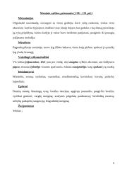 D. Vaitkevičiūtės romano "Moterys meluoja geriau" analizė 5 puslapis