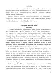 D. Vaitkevičiūtės romano "Moterys meluoja geriau" analizė 7 puslapis