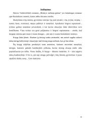 D. Vaitkevičiūtės romano "Moterys meluoja geriau" analizė 9 puslapis