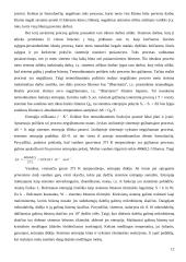 Atomo sudėtis. Cheminės jungtys 12 puslapis