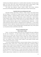 Atomo sudėtis. Cheminės jungtys 10 puslapis