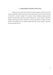 Atostogos ir jų rūšys 10 puslapis