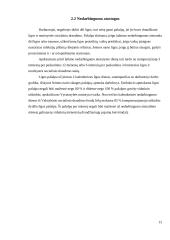 Atostogų suteikimo tvarka ir apskaita 13 puslapis