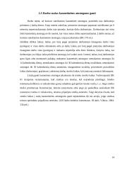 Atostogų suteikimo tvarka ir apskaita 14 puslapis