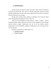 Atostogų suteikimo tvarka ir apskaita 4 puslapis