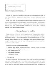 Atsargų vaidmuo ir apskaita 5 puslapis