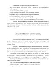 Atsargų auditas 11 puslapis