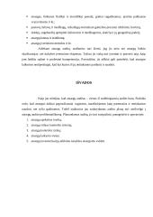 Atsargų auditas 12 puslapis