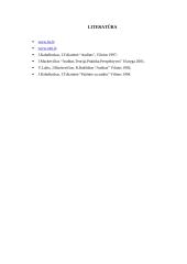 Atsargų auditas 13 puslapis