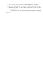 Atsargų auditas 3 puslapis