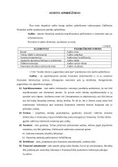 Atsargų auditas 4 puslapis