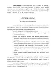 Atsargų auditas 6 puslapis