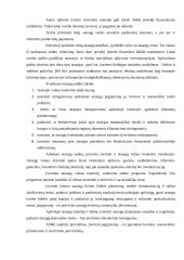 Atsargų auditas 7 puslapis