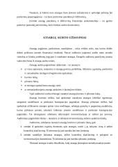 Atsargų auditas 8 puslapis