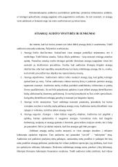 Atsargų auditas 9 puslapis