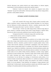 Atsargų auditas 10 puslapis